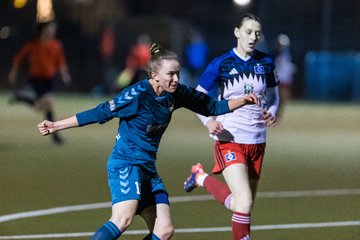 Bild 197 - F SC Alstertal-Langenhorn - Hamburger SV 3 : Ergebnis: 2:2
